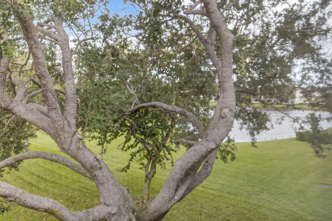 For Sale: $80,000 (1 beds, 1 baths, 720 Square Feet)