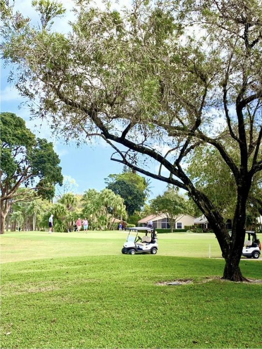 待售: $310,000 (2 贝兹, 2 浴室, 1000 平方英尺)