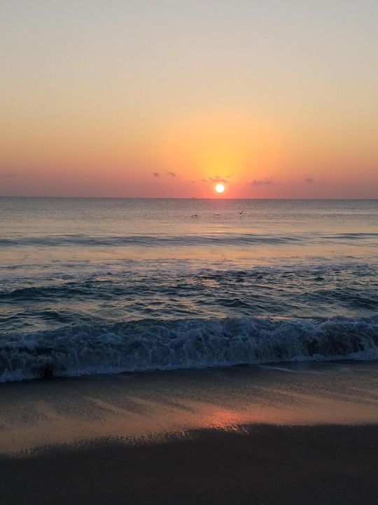 For Sale: $499,000 (2 beds, 2 baths, 1366 Square Feet)