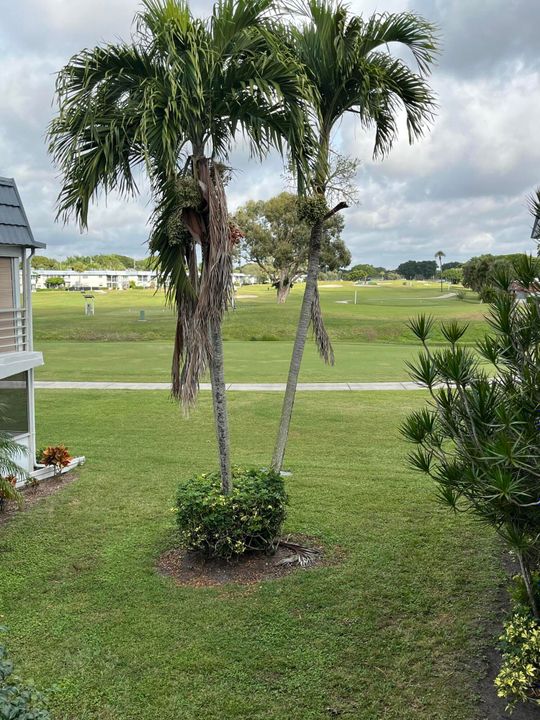 待售: $77,500 (1 贝兹, 1 浴室, 726 平方英尺)