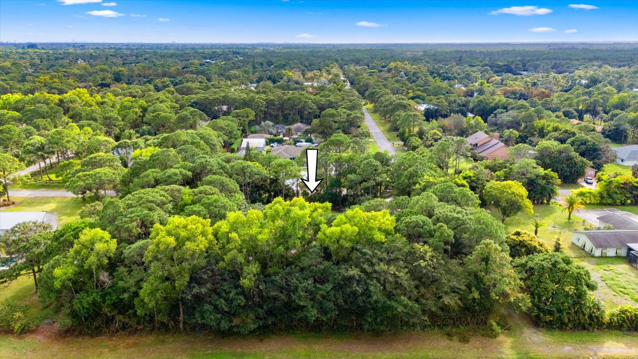 待售: $1,200,000 (5 贝兹, 2 浴室, 3500 平方英尺)