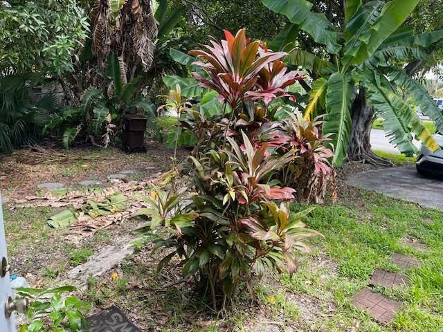 For Rent: $1,400 (1 beds, 1 baths, 650 Square Feet)