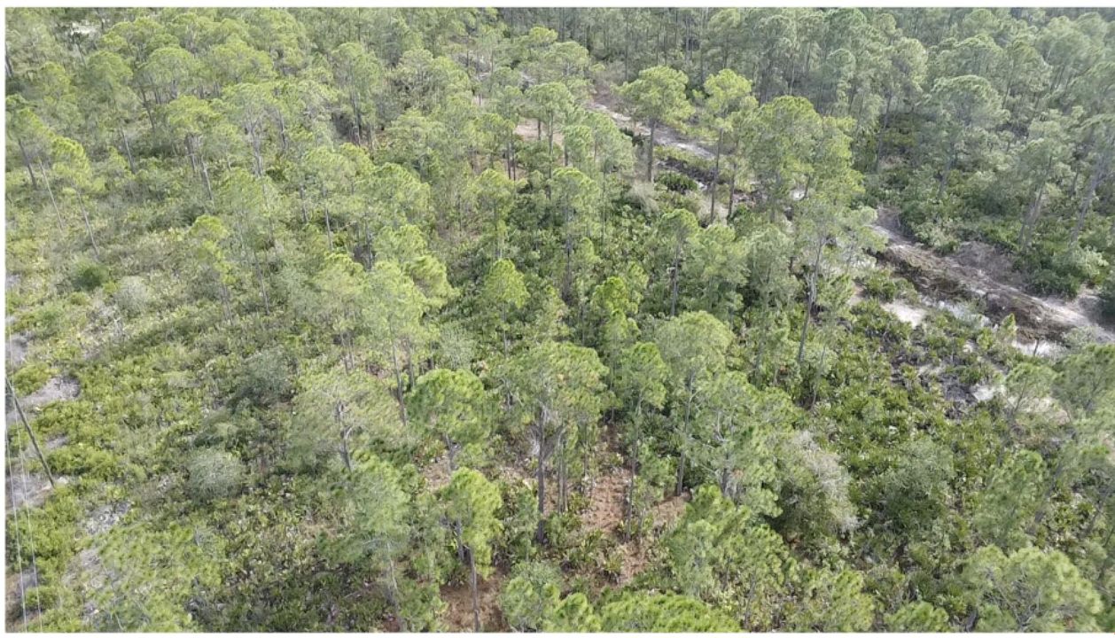 На продажу: $24,750 (0 спален, 0 ванн, 0 Квадратных фут)