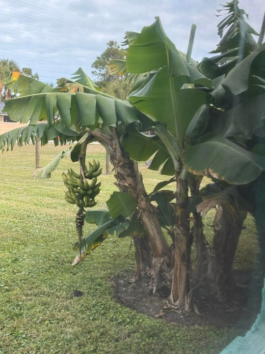 For Rent: $2,500 (6 beds, 4 baths, 3126 Square Feet)