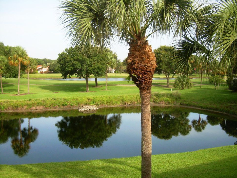 For Rent: $3,500 (3 beds, 2 baths, 1666 Square Feet)