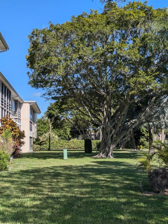 For Sale: $70,000 (2 beds, 1 baths, 894 Square Feet)