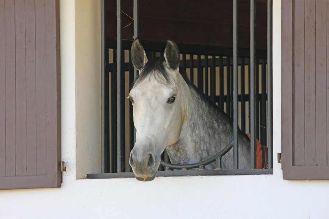 На продажу: $4,900,000 (4 спален, 3 ванн, 3080 Квадратных фут)