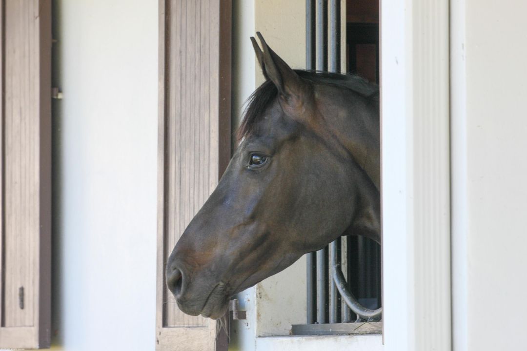 На продажу: $4,900,000 (4 спален, 3 ванн, 3080 Квадратных фут)