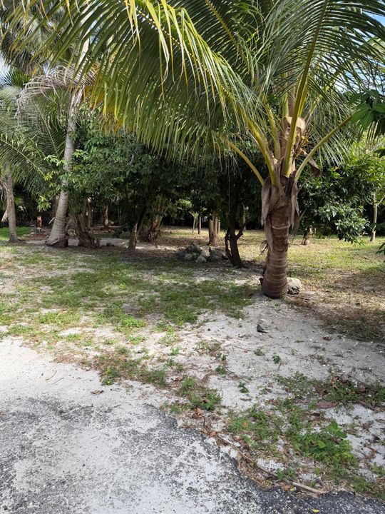 Active With Contract: $2,500 (3 beds, 2 baths, 1362 Square Feet)