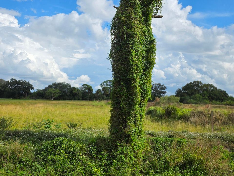 На продажу: $159,900 (0 спален, 0 ванн, 0 Квадратных фут)