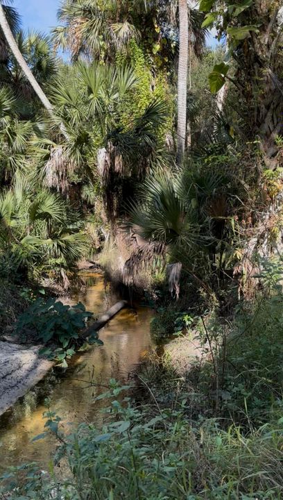 For Sale: $299,900 (0 beds, 0 baths, 0 Square Feet)