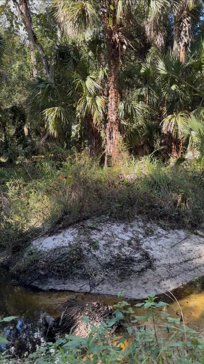 For Sale: $299,900 (0 beds, 0 baths, 0 Square Feet)