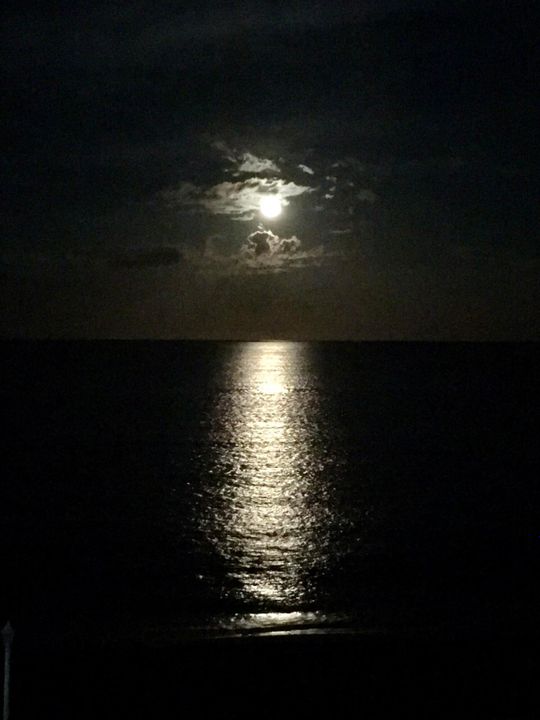 For Sale: $685,000 (2 beds, 2 baths, 1226 Square Feet)