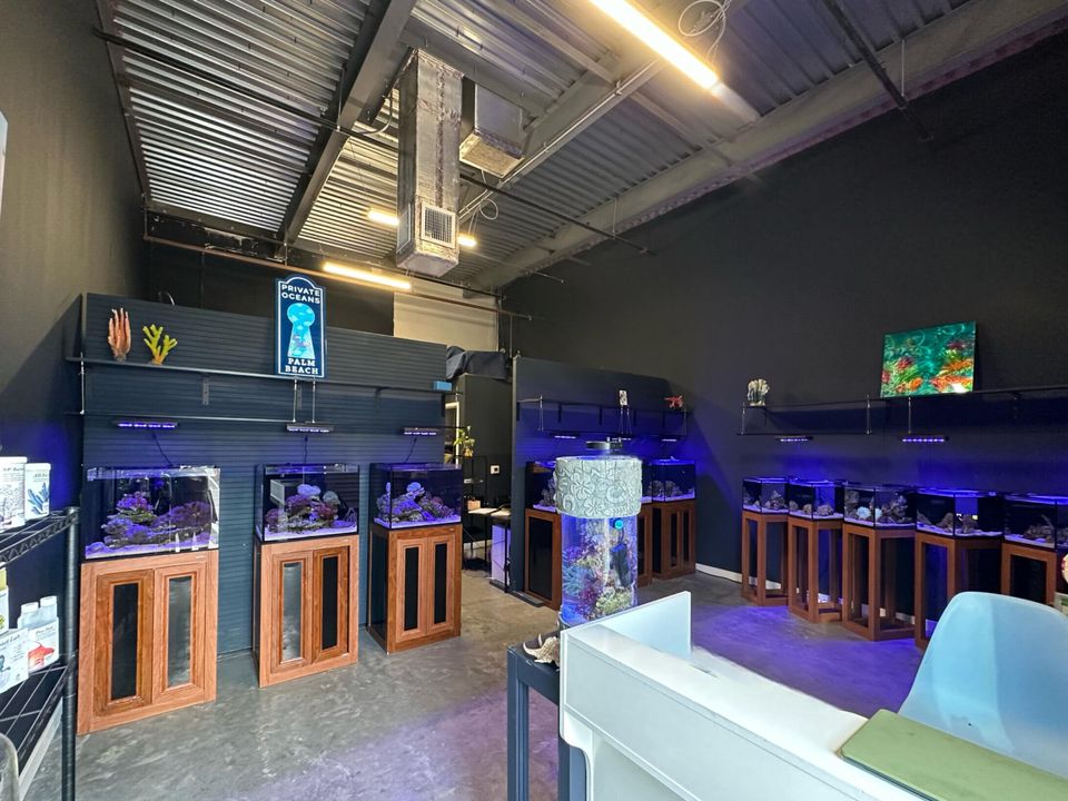 待售: $2,500 (0 贝兹, 0 浴室, 630 平方英尺)