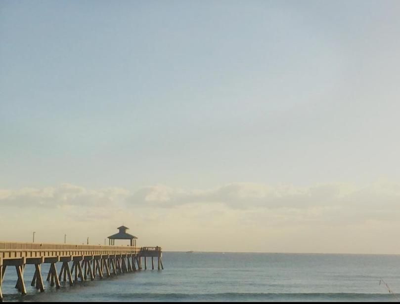 В аренду: $2,200 (2 спален, 2 ванн, 957 Квадратных фут)