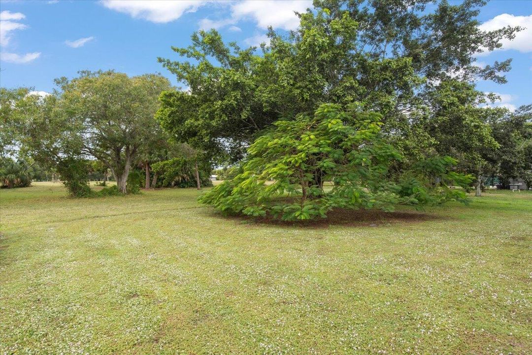 待售: $239,000 (3 贝兹, 2 浴室, 1246 平方英尺)