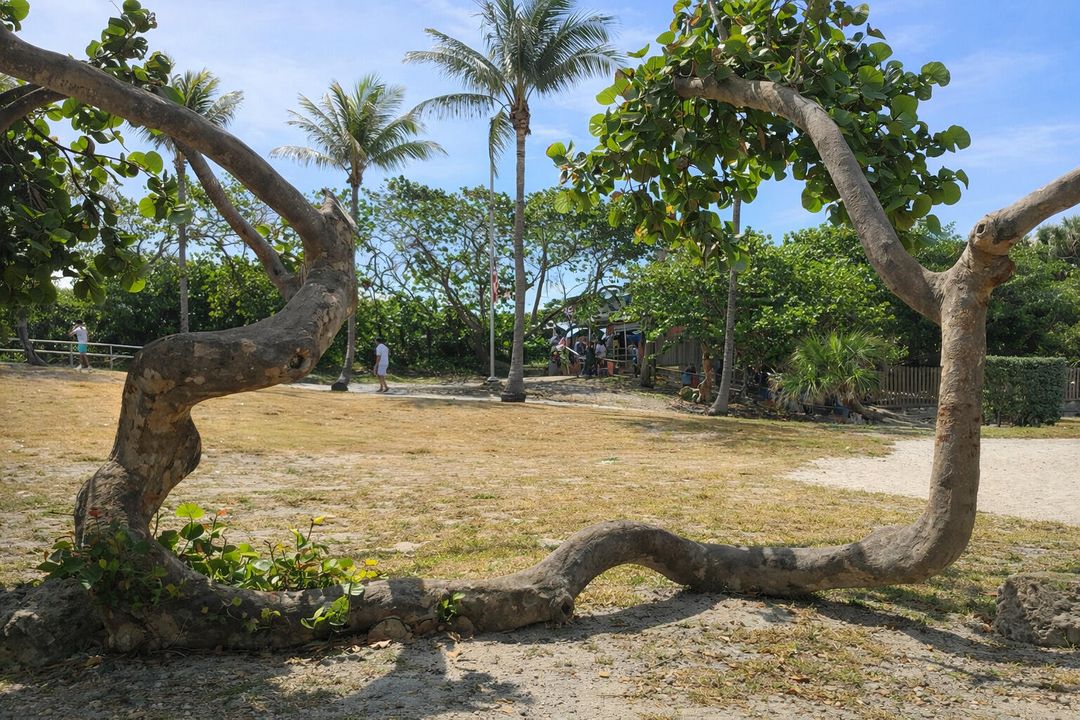 For Rent: $2,000 (3 beds, 2 baths, 1024 Square Feet)