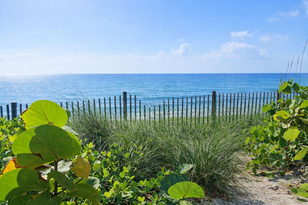 For Rent: $2,000 (3 beds, 2 baths, 1024 Square Feet)