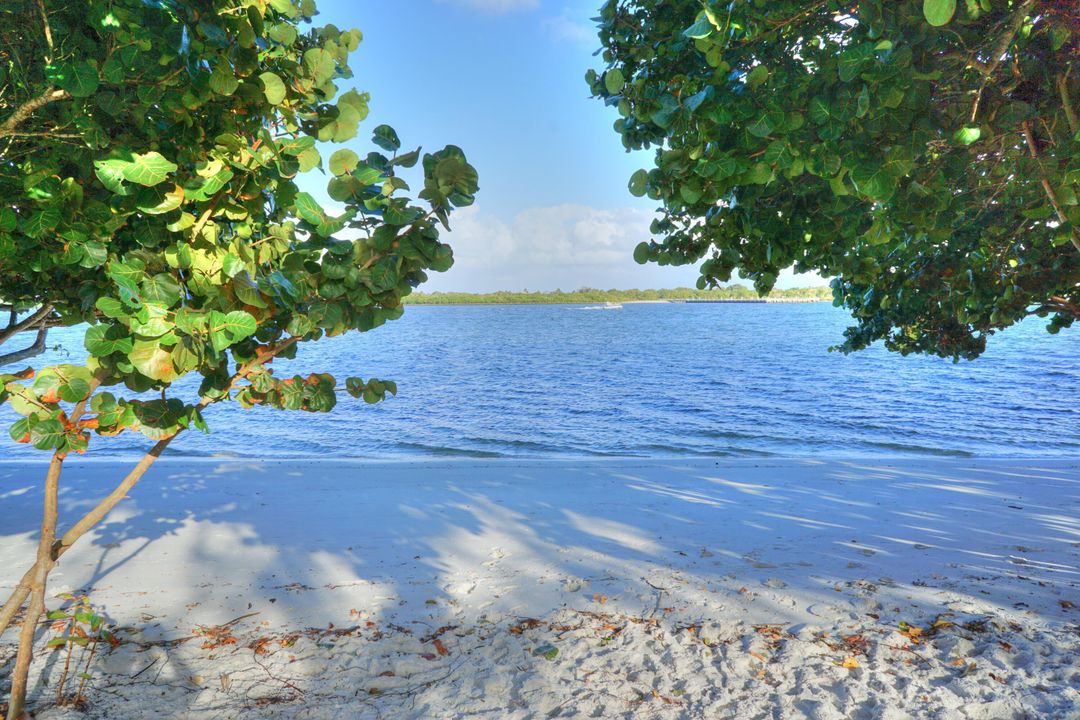 В аренду: $3,500 (4 спален, 2 ванн, 1352 Квадратных фут)