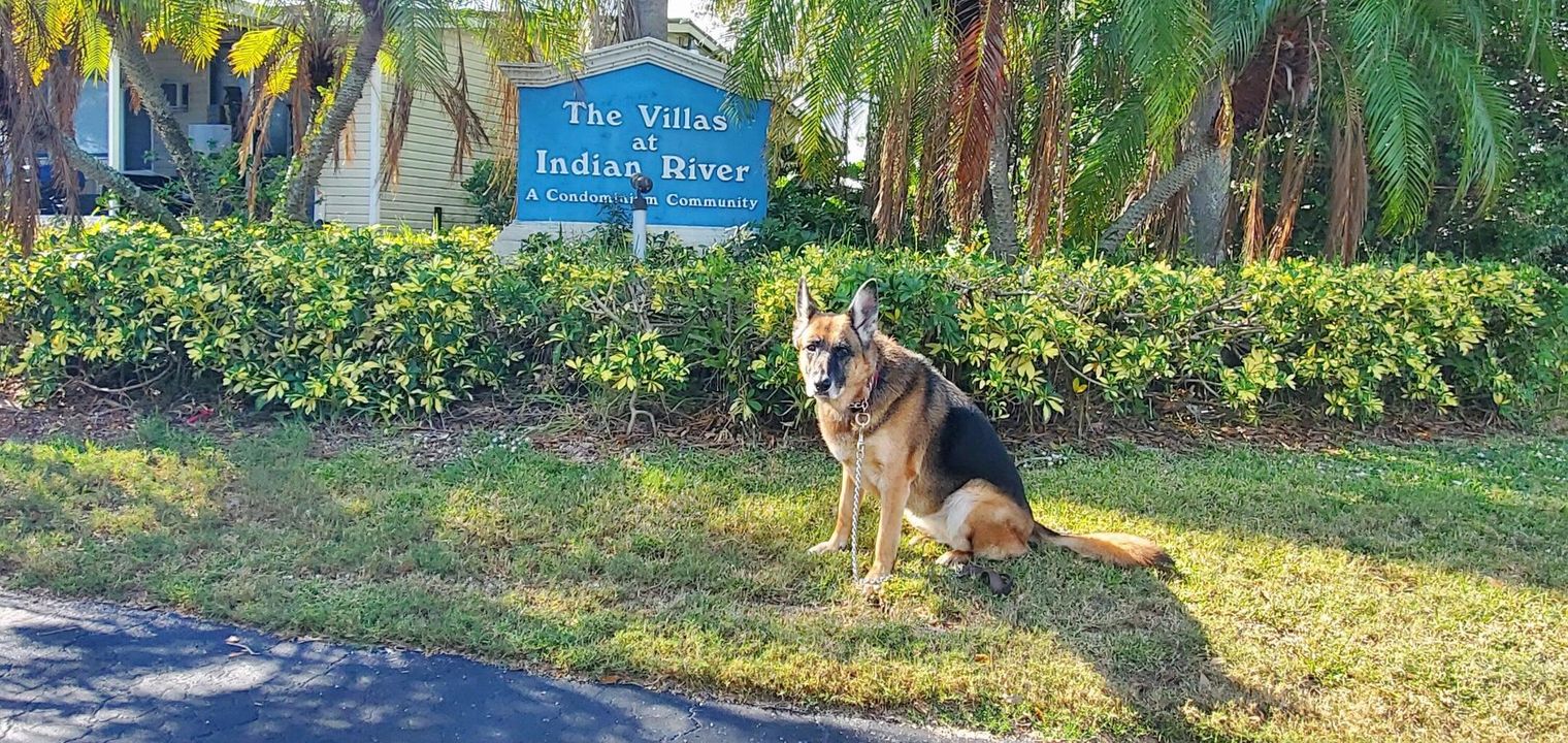 На продажу: $135,000 (1 спален, 1 ванн, 550 Квадратных фут)