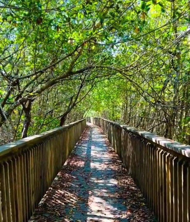 На продажу: $135,000 (1 спален, 1 ванн, 550 Квадратных фут)