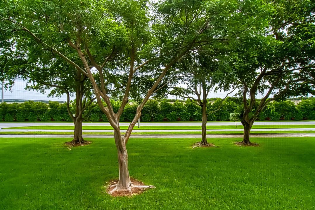 На продажу: $129,000 (2 спален, 1 ванн, 840 Квадратных фут)