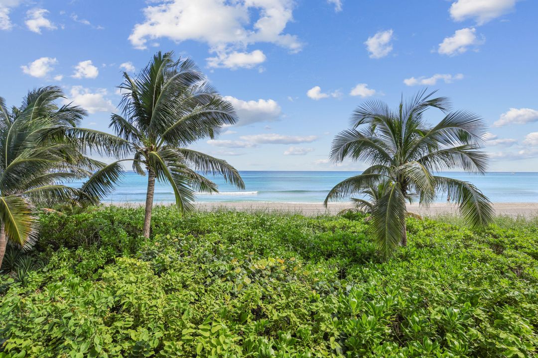 В аренду: $6,200 (2 спален, 2 ванн, 1050 Квадратных фут)