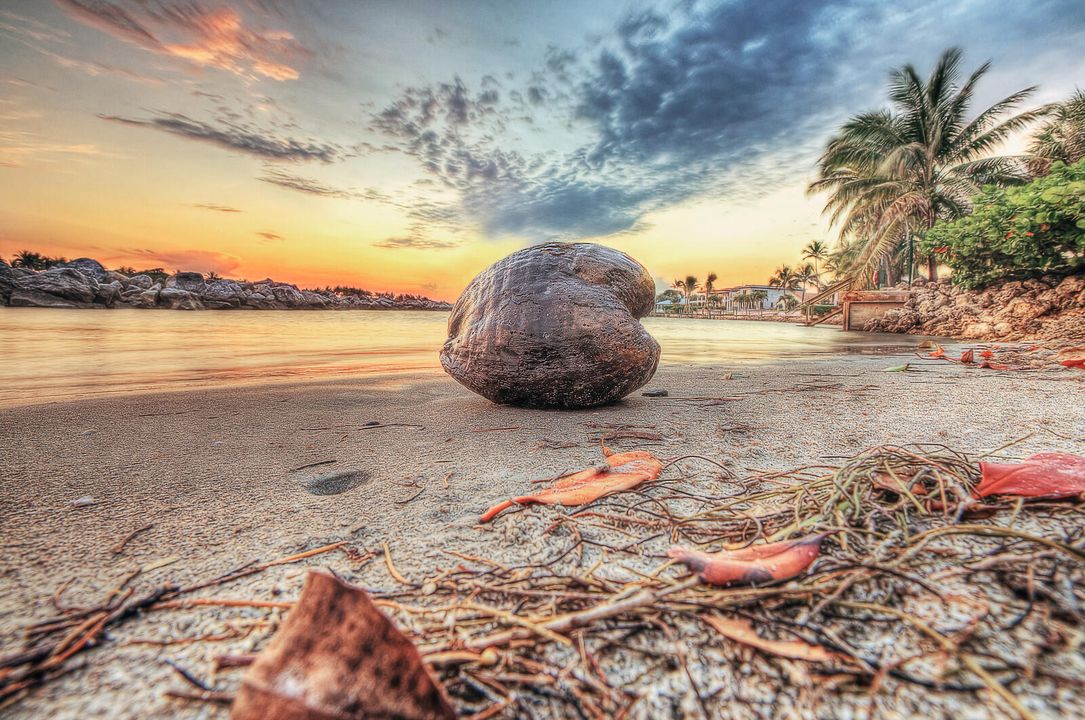 На продажу: $3,595,000 (4 спален, 2 ванн, 2432 Квадратных фут)