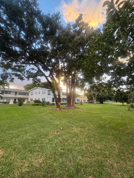 В аренду: $1,600 (1 спален, 1 ванн, 702 Квадратных фут)