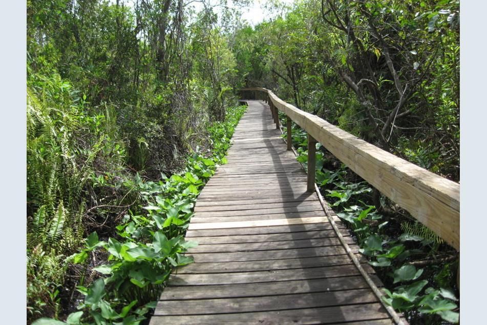 For Rent: $2,000 (2 beds, 2 baths, 1288 Square Feet)