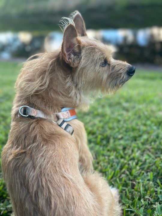 For Sale: $289,900 (2 beds, 2 baths, 1348 Square Feet)