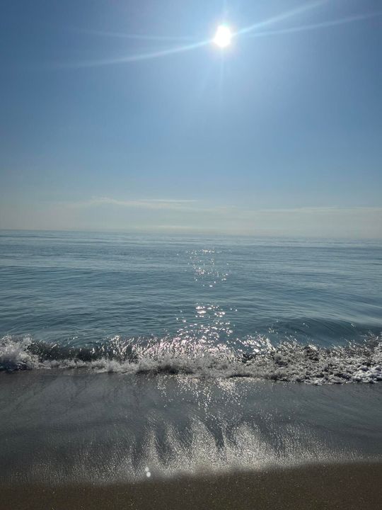 На продажу: $210,000 (1 спален, 1 ванн, 624 Квадратных фут)