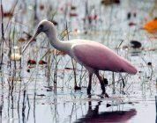 En Venta: $470,000 (4 camas, 2 baños, 2220 Pies cuadrados)