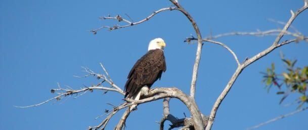 En Venta: $470,000 (4 camas, 2 baños, 2220 Pies cuadrados)