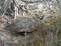 En Venta: $470,000 (4 camas, 2 baños, 2220 Pies cuadrados)