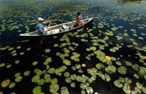 En Venta: $470,000 (4 camas, 2 baños, 2220 Pies cuadrados)