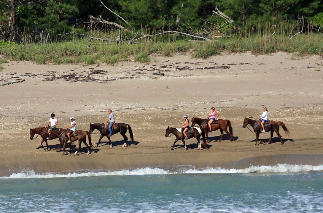 En Venta: $470,000 (4 camas, 2 baños, 2220 Pies cuadrados)
