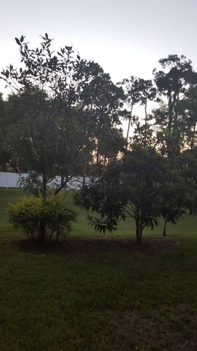 For Rent: $2,400 (2 beds, 2 baths, 1652 Square Feet)