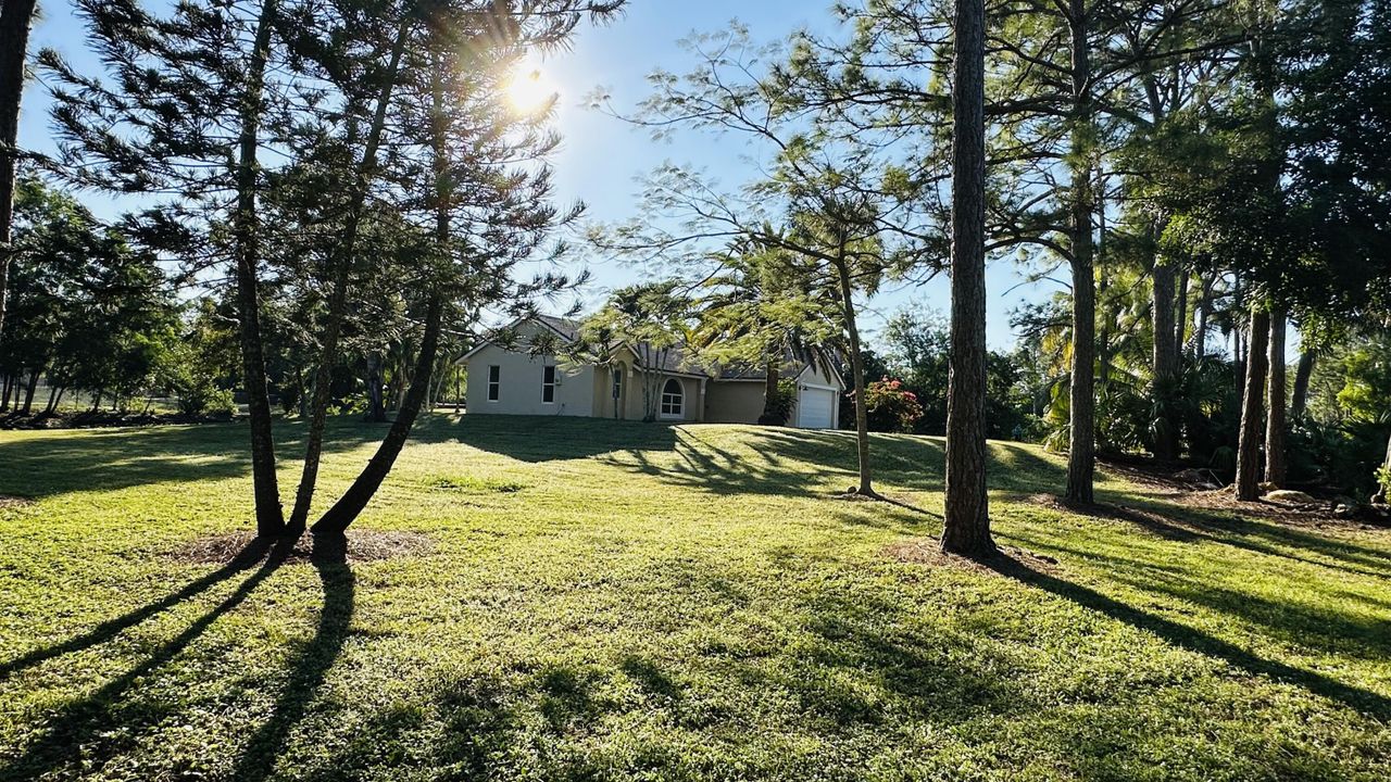 В аренду: $3,600 (3 спален, 2 ванн, 1449 Квадратных фут)