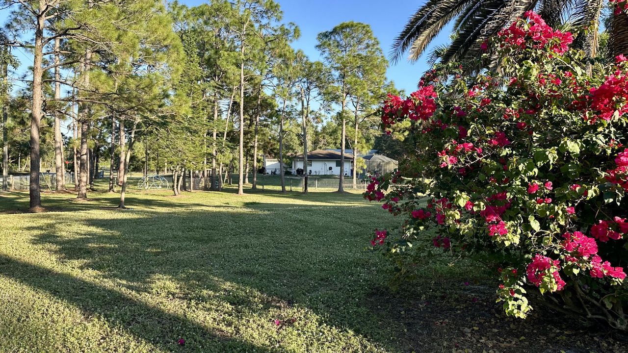 В аренду: $3,600 (3 спален, 2 ванн, 1449 Квадратных фут)