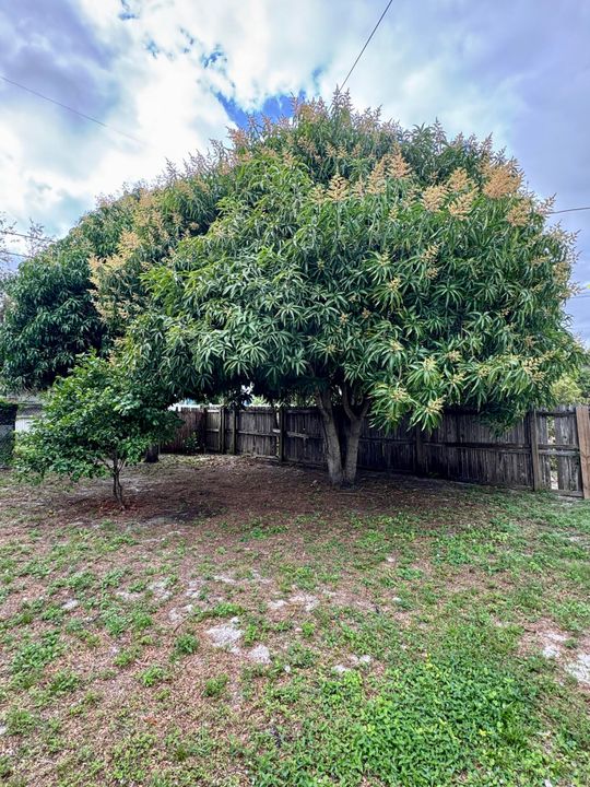 For Rent: $3,900 (3 beds, 1 baths, 1428 Square Feet)