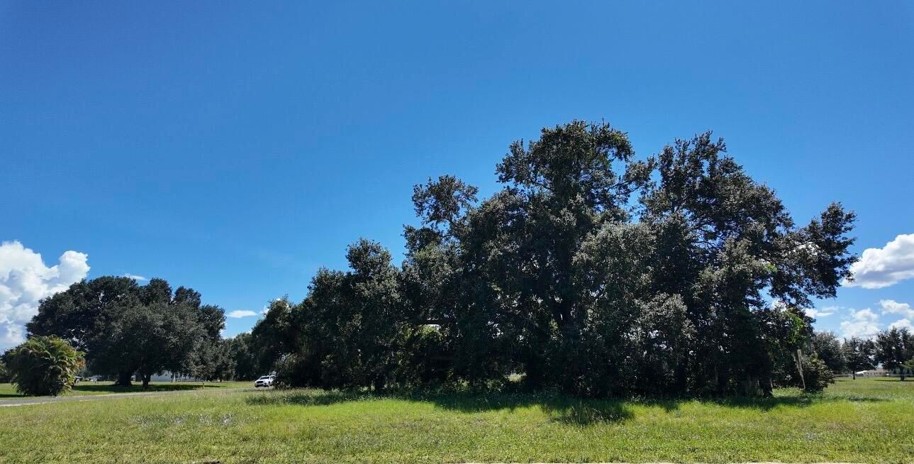 For Sale: $33,500 (0 beds, 0 baths, 0 Square Feet)