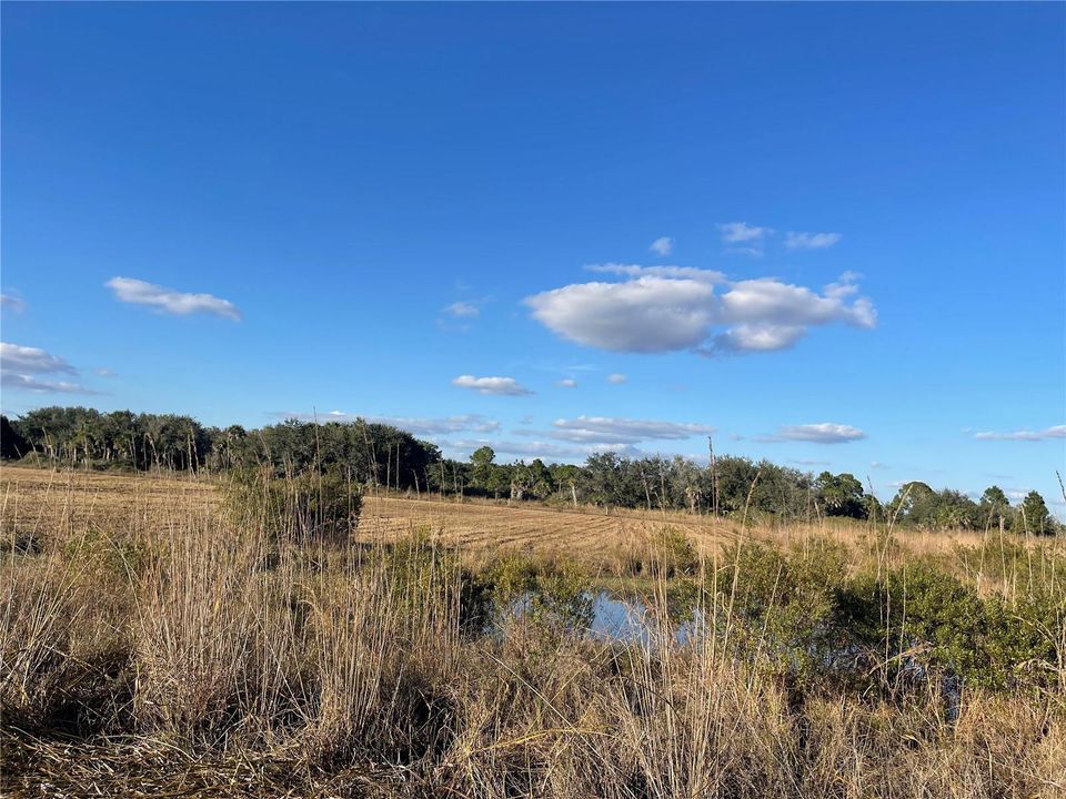 待售: $124,900 (0 贝兹, 0 浴室, 0 平方英尺)