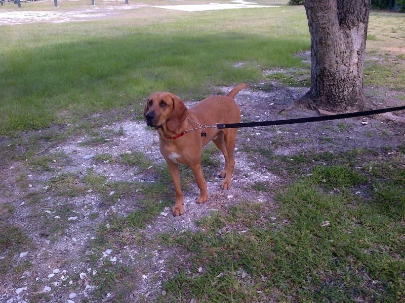 待售: $129,900 (0 贝兹, 0 浴室, 0 平方英尺)