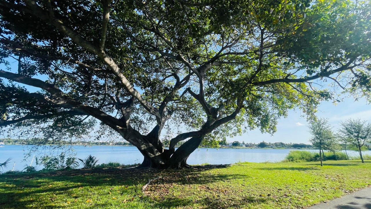 待售: $134,900 (2 贝兹, 2 浴室, 880 平方英尺)