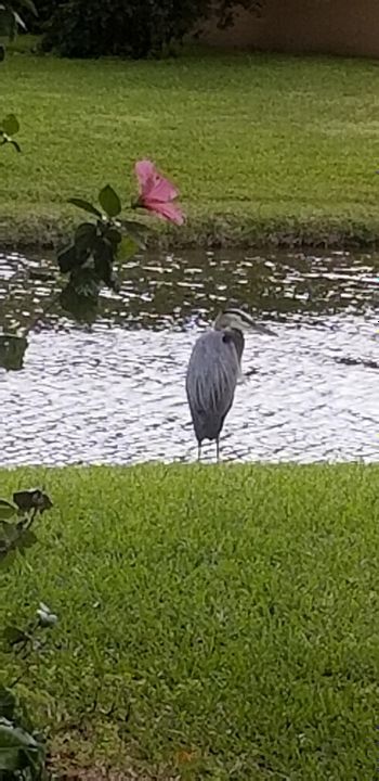 For Sale: $430,000 (2 beds, 2 baths, 1594 Square Feet)