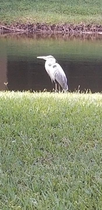 For Sale: $430,000 (2 beds, 2 baths, 1594 Square Feet)