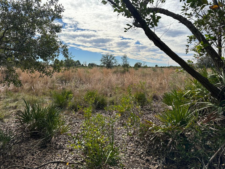 待售: $35,000 (0 贝兹, 0 浴室, 0 平方英尺)