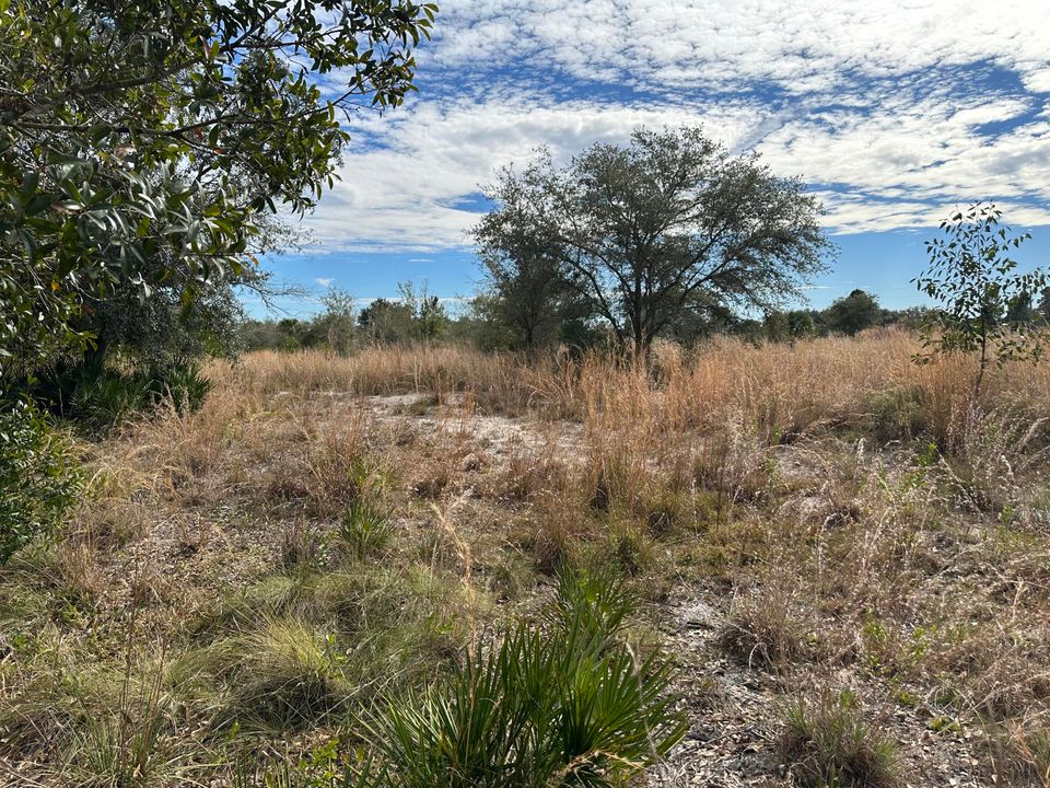 待售: $35,000 (0 贝兹, 0 浴室, 0 平方英尺)