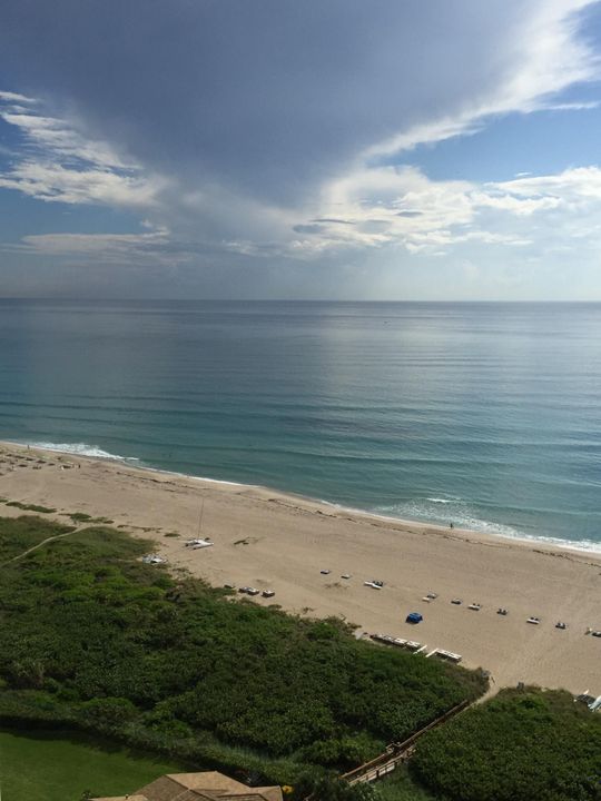 出租: $5,500 (2 贝兹, 2 浴室, 1219 平方英尺)